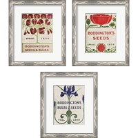 Framed 'Flower Seed Packs 3 Piece Framed Art Print Set' border=