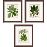 Framed Verdant Foliage 3 Piece Framed Art Print Set