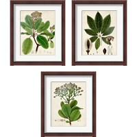 Framed 'Verdant Foliage 3 Piece Framed Art Print Set' border=