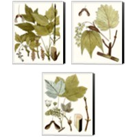 Framed 'Maple Leaves 3 Piece Canvas Print Set' border=