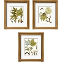 Framed 'Maple Leaves 3 Piece Framed Art Print Set' border=
