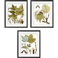 Framed 'Maple Leaves 3 Piece Framed Art Print Set' border=