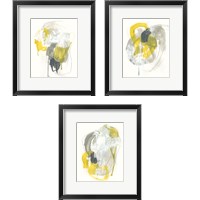 Framed 'Arbitrary Consent 3 Piece Framed Art Print Set' border=