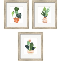 Framed Happy Plants 3 Piece Framed Art Print Set