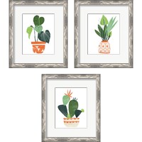 Framed 'Happy Plants 3 Piece Framed Art Print Set' border=