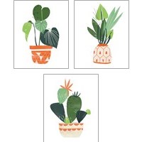 Framed Happy Plants 3 Piece Art Print Set