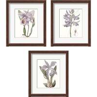 Framed 'Lavender Beauties 3 Piece Framed Art Print Set' border=