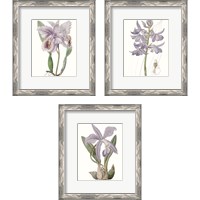 Framed 'Lavender Beauties 3 Piece Framed Art Print Set' border=