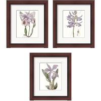 Framed Lavender Beauties 3 Piece Framed Art Print Set
