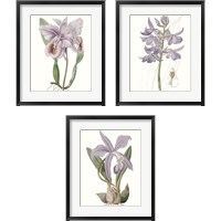 Framed 'Lavender Beauties 3 Piece Framed Art Print Set' border=
