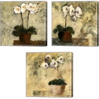 Framed 'Orchid Textures 3 Piece Canvas Print Set' border=