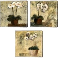 Framed Orchid Textures 3 Piece Canvas Print Set