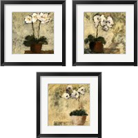 Framed Orchid Textures 3 Piece Framed Art Print Set