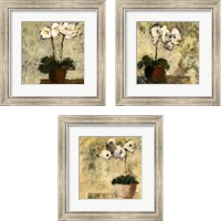 Framed 'Orchid Textures 3 Piece Framed Art Print Set' border=
