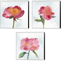 Framed 'Joyful Peony 3 Piece Canvas Print Set' border=