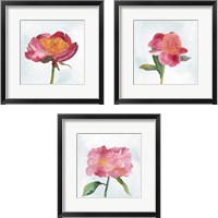 Framed 'Joyful Peony 3 Piece Framed Art Print Set' border=