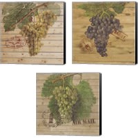 Framed 'Grape Crate 3 Piece Canvas Print Set' border=
