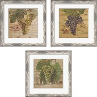Framed Grape Crate 3 Piece Framed Art Print Set