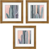 Framed 'Desert Dawn 3 Piece Framed Art Print Set' border=