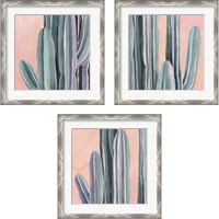 Framed Desert Dawn 3 Piece Framed Art Print Set