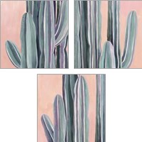 Framed Desert Dawn 3 Piece Art Print Set