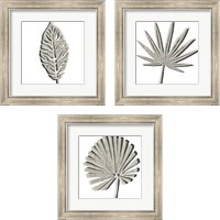 Framed 'Cut Paper Palms 3 Piece Framed Art Print Set' border=