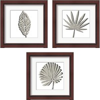 Framed 'Cut Paper Palms 3 Piece Framed Art Print Set' border=