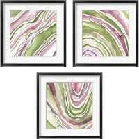 Framed 'Up Close Agate 3 Piece Framed Art Print Set' border=