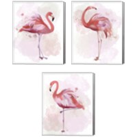 Framed Fluffy Flamingo 3 Piece Canvas Print Set