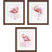 Framed 'Fluffy Flamingo 3 Piece Framed Art Print Set' border=