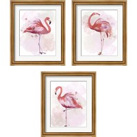 Framed 'Fluffy Flamingo 3 Piece Framed Art Print Set' border=