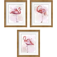 Framed Fluffy Flamingo 3 Piece Framed Art Print Set