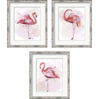 Framed Fluffy Flamingo 3 Piece Framed Art Print Set