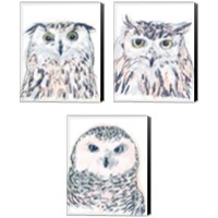 Framed Funky Owl Portrait 3 Piece Canvas Print Set