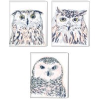 Framed Funky Owl Portrait 3 Piece Canvas Print Set