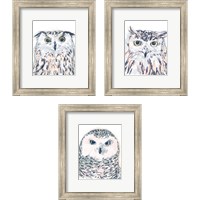 Framed Funky Owl Portrait 3 Piece Framed Art Print Set