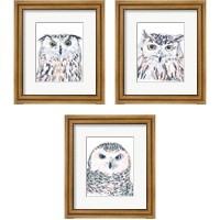Framed Funky Owl Portrait 3 Piece Framed Art Print Set