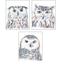 Framed Funky Owl Portrait 3 Piece Art Print Set