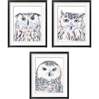 Framed 'Funky Owl Portrait 3 Piece Framed Art Print Set' border=