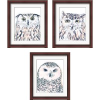 Framed 'Funky Owl Portrait 3 Piece Framed Art Print Set' border=