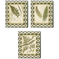 Framed 'Moroccan Ferns  3 Piece Canvas Print Set' border=