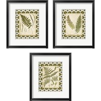 Framed 'Moroccan Ferns  3 Piece Framed Art Print Set' border=