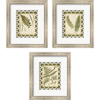 Framed 'Moroccan Ferns  3 Piece Framed Art Print Set' border=