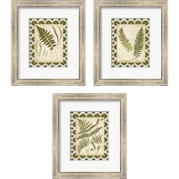 Framed Moroccan Ferns  3 Piece Framed Art Print Set