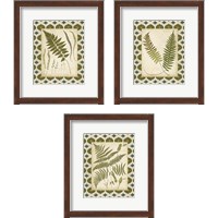 Framed Moroccan Ferns  3 Piece Framed Art Print Set
