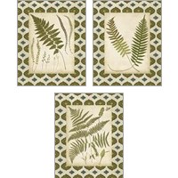 Framed Moroccan Ferns  3 Piece Art Print Set