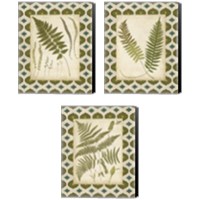 Framed Moroccan Ferns  3 Piece Canvas Print Set