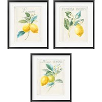 Framed 'Floursack Lemon 3 Piece Framed Art Print Set' border=