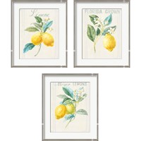 Framed Floursack Lemon 3 Piece Framed Art Print Set