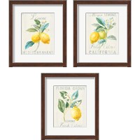 Framed 'Floursack Lemon 3 Piece Framed Art Print Set' border=